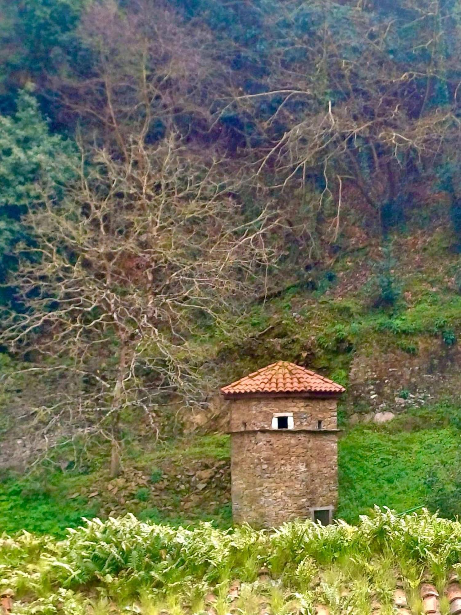 Casa Mari La Moscona